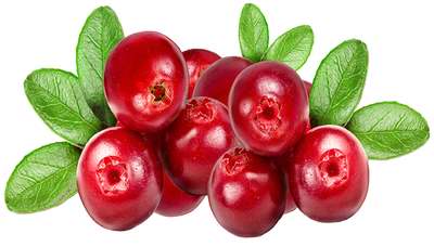 Cranberry Extract (seed)